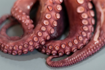 PULPO DE GALICIA COCIDO SPAIN 