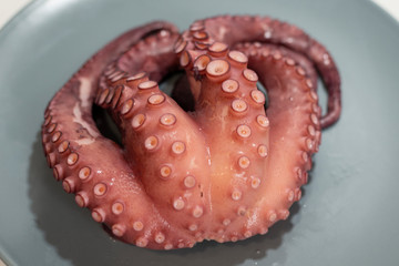 PULPO FRESCO GALLEGO