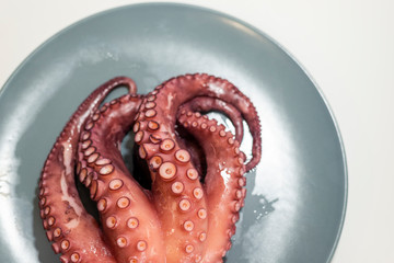 PULPO FRESCO GALLEGO