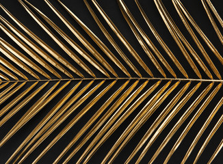 Gold painted palm leaf on black background isolated - obrazy, fototapety, plakaty
