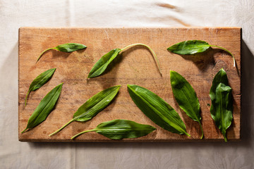wild garlic or ramson on wooden cutting board, top view