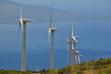 Kaheawa wind farm turbines in Maui Hawaii