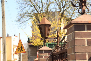 stara latania  na  murze © Mirosaw