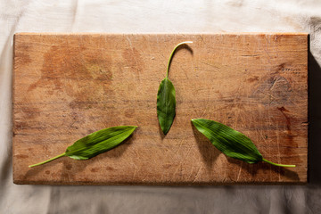 wild garlic or ramson on wooden cutting board, top view