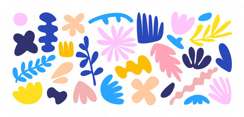 Set of hand drawn shapes and doodle design elements. Exotic jungle leaves, flowers and plants. Abstract contemporary modern trendy vector illustration. Perfect for posters, instagram posts, stickers.