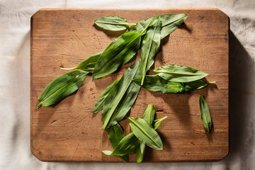 wild garlic or ramson on wooden cutting board, top view