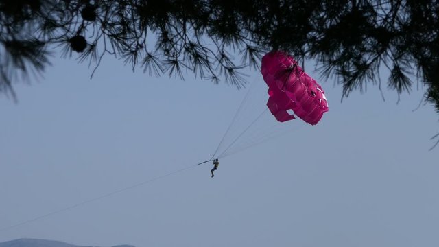 Man in the air doing boat parachute shot from behind a tree leafs