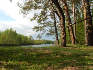 River in the spring 2020
