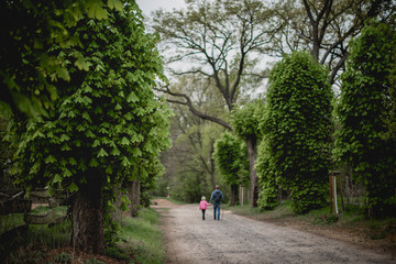 dad and daughter are walking along a beautiful alley with old tall chestnut trees. spring nature