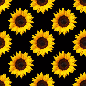 sunflowers flowers seamless pattern design on black background. Can be tiled