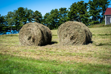 Three Hay Bales