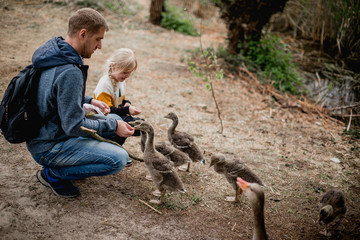 A father and his daughter feed ducks together in a serene natural setting. This heartwarming moment...