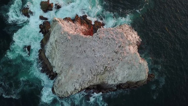Drone hovers 30 meters above an isolated rock cliff as birds circle it.