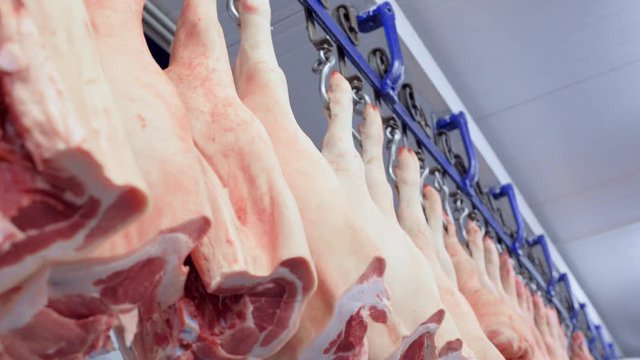 Food industry, meat processing. Pig carcasses close up on hooks against the background of a meat processing plant