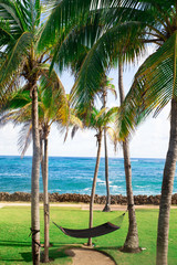 Tropical landscape with palm trees, hammock and ocean