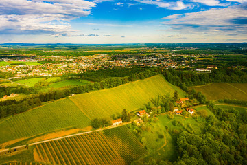 Austria vineyards landscape. Leibnitz area in south Styria, wine country