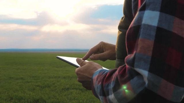 eco smart farming a concept silhouette sunset worker studies agriculture. man lifestyle farmer red neck with a digital tablet walks on a green field. male worker studies winter green wheat crops works