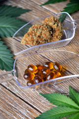 Cannabis dried flower and medical marijuana pills