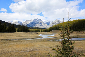 Snow melting in the river with mountains ahead along Banff National Park, Canada