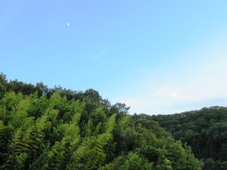 Fototapeta na wymiar 日本の田舎の風景　9月　初秋　薮と月　夕景