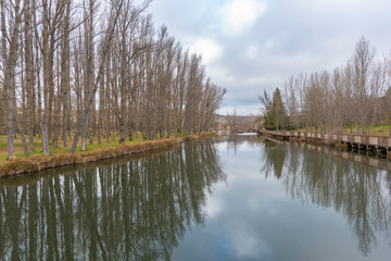Fototapeta premium Paseo Machado. Paseo peatonal por el río Duero en Soria, España.