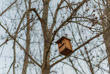 Refugio para aves en un árbol.