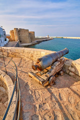Fototapeta na wymiar Medieval Defense Cannon and Turret In Front Of Castle Carlo V in beautiful Monopoli - Apulia - Puglia - Italy
