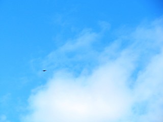 日本の田舎の風景　9月　とんびと青空