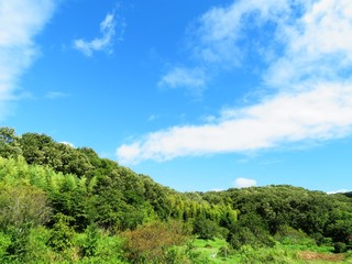 Fototapeta na wymiar 日本の田舎の風景　9月　山と青空