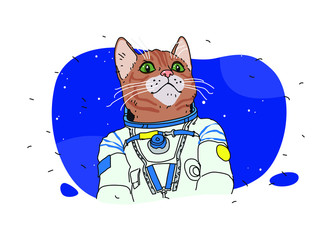 Illustrations of magical blue snowflakes. Vector. Cartoon patterns, pattern.