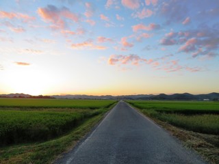 日本の田舎の風景　9月　夕焼雲と農道