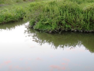 日本の田舎の風景　9月　曇りの日の水辺の夕景