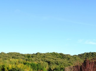 Fototapeta na wymiar 日本の田舎の風景　9月　山の木々と青空