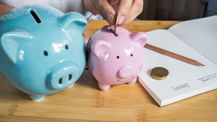 A hand is putting the coins in a pink piggy bank isolate in wooden background.