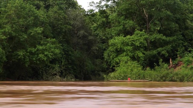 Trevelling de hombre en canoa sobre el río y la selva