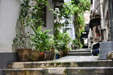 香港上環の街角 © k.tokushima