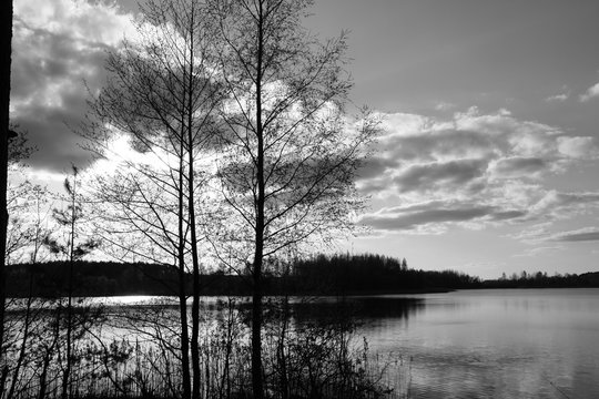 black and white photo of lake and forest