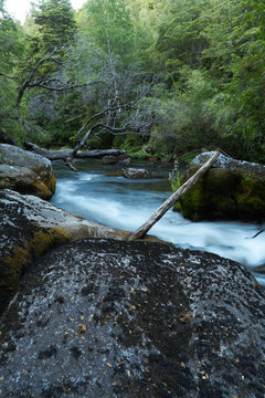 stream in the forest with rocky banks