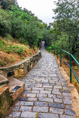 Ancient winding road paved with cobblestone and overgrown by grass in Tbilisi, Georgia