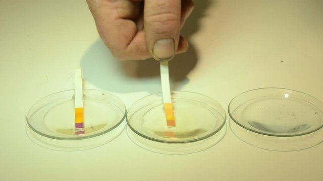Indicator strips for pH measurement. Four indicator fields change color due to a liquid's  pH balance. Comparing the strip's color change with a reference chart lets the user determine the pH value. 