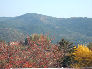 紅葉