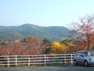 紅葉