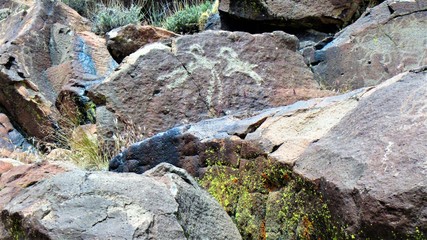 Two animal petroglyphs on the hard rock surface