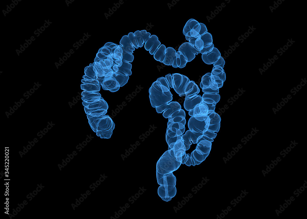 Poster ct colonography or ct scan of colon 3d rendering image.