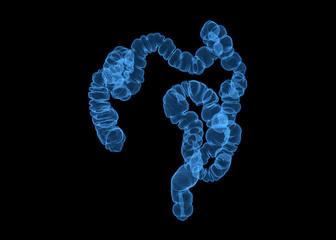 CT colonography  or CT Scan of Colon 3D Rendering image.