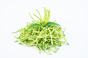 Fresh wild honeysuckle buds on white background