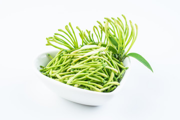 Fresh wild honeysuckle buds on white background