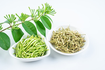 Dried honeysuckle and fresh honeysuckle buds