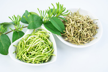 Dried honeysuckle and fresh honeysuckle buds