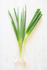 Green Onion, Scallion, Fresh, Farm to Table